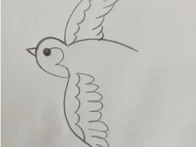 燕子怎么画