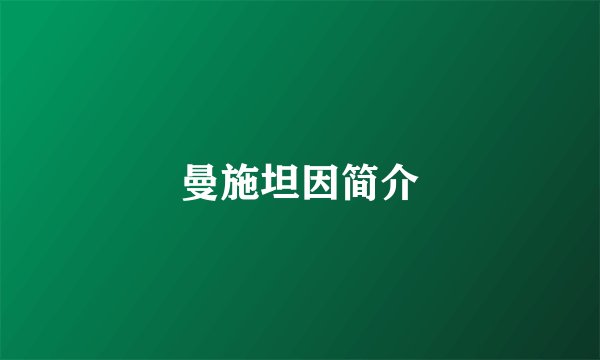 曼施坦因简介