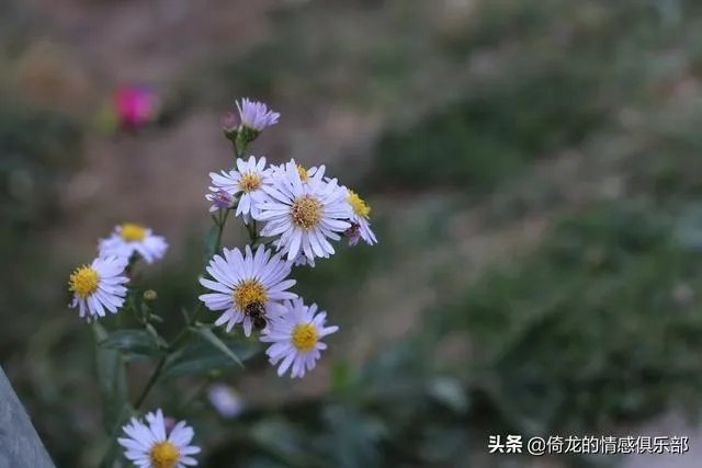 你知道哪些渣男语录？