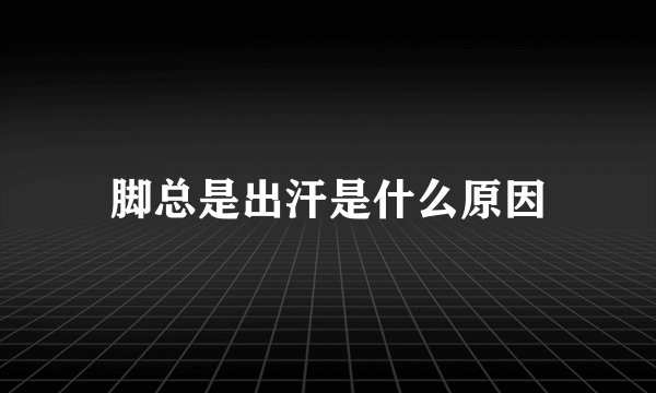 脚总是出汗是什么原因