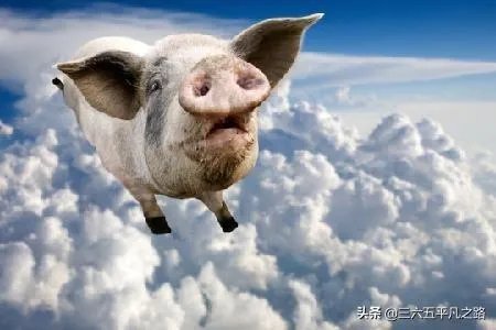 7月14日,10个省份的生猪价格突破了10元/斤的行情,这个行情能持续多久?