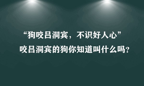 “狗咬吕洞宾，不识好人心”咬吕洞宾的狗你知道叫什么吗？