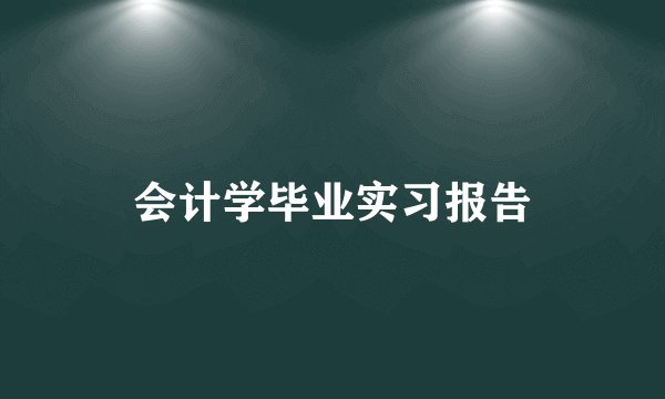 会计学毕业实习报告