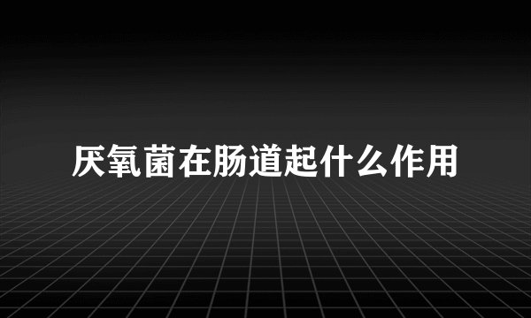 厌氧菌在肠道起什么作用