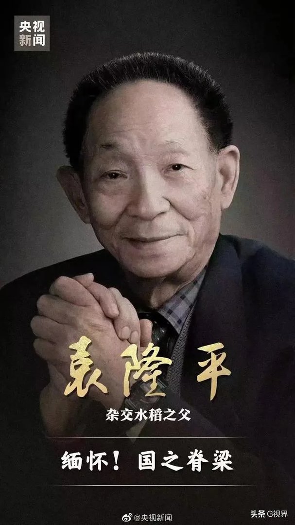 今天都在说粮食之父袁隆平去世，是真还是假？