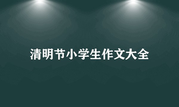 清明节小学生作文大全