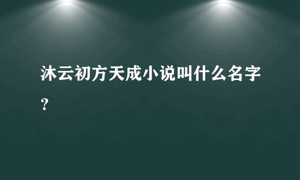 沐云初方天成小说叫什么名字？