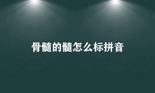 骨髓的髓怎么标拼音