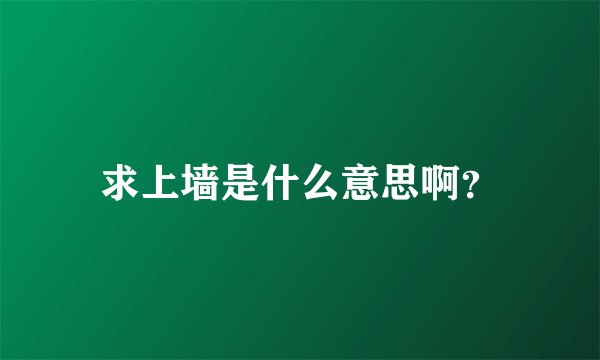 求上墙是什么意思啊？