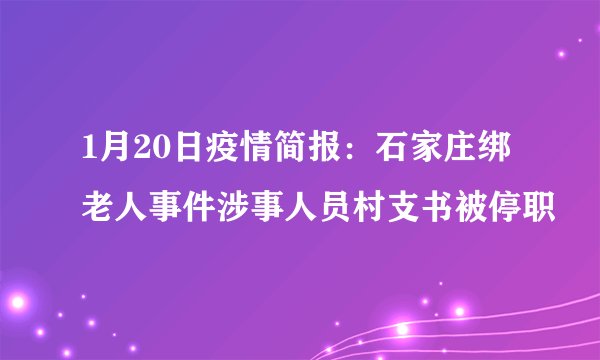 1月20日疫情简报：石家庄绑老人事件涉事人员村支书被停职