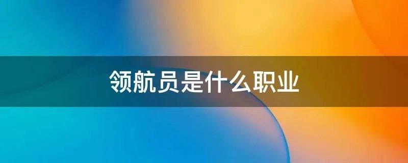 领航员是什么职业