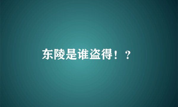 东陵是谁盗得!?