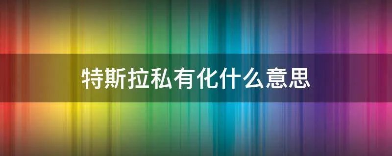 特斯拉私有化什么意思
