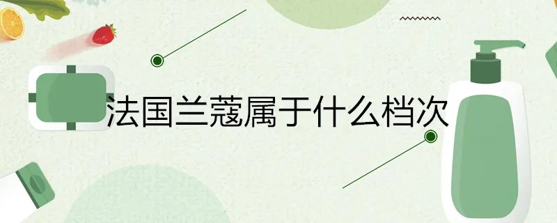法国兰蔻属于什么档次
