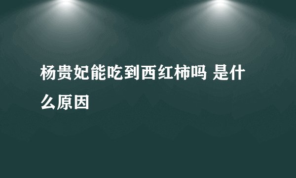 杨贵妃能吃到西红柿吗 是什么原因