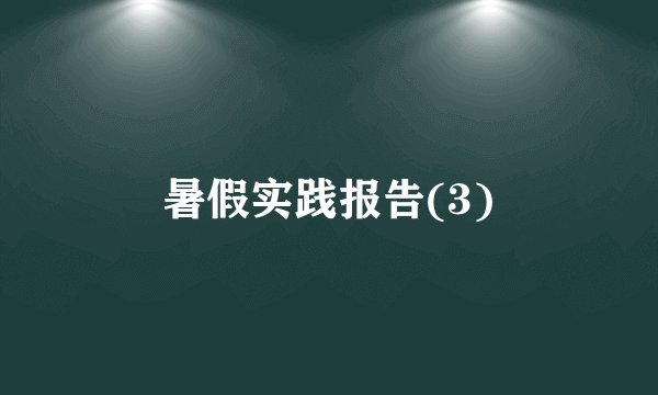 暑假实践报告(3)