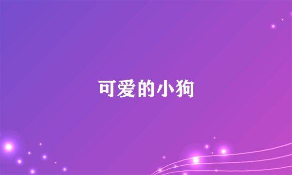 可爱的小狗