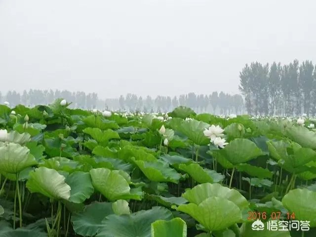 韩寒发长文说自己退学是很失败的事,你曾经有没有特别不想上学的时刻?