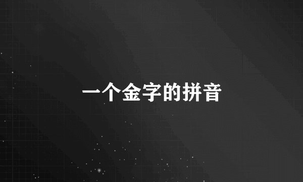 一个金字的拼音