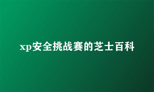 xp安全挑战赛的芝士百科