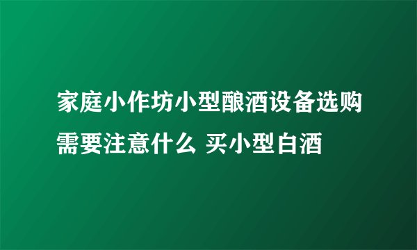 家庭小作坊小型酿酒设备选购需要注意什么 买小型白酒