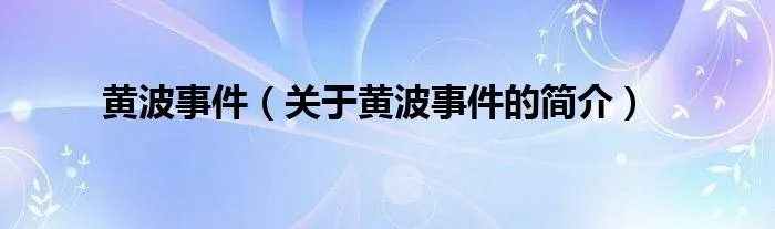 黄波事件（关于黄波事件的简介）