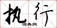 执行