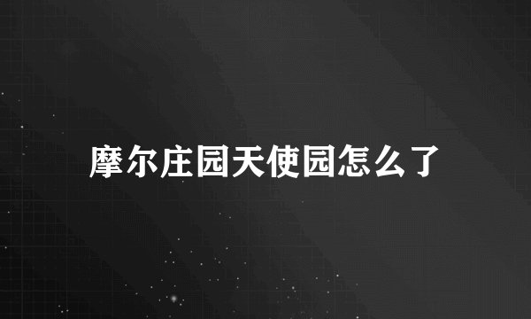 摩尔庄园天使园怎么了