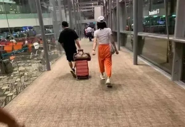 郑恺苗苗官宣领证,他们是怎么相识相恋的?