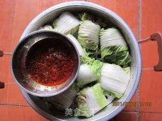 白菜包