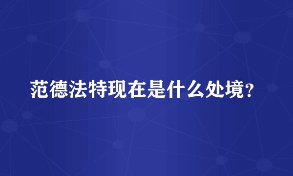 范德法特现在是什么处境？