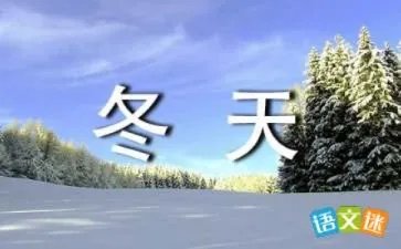 冬天的花