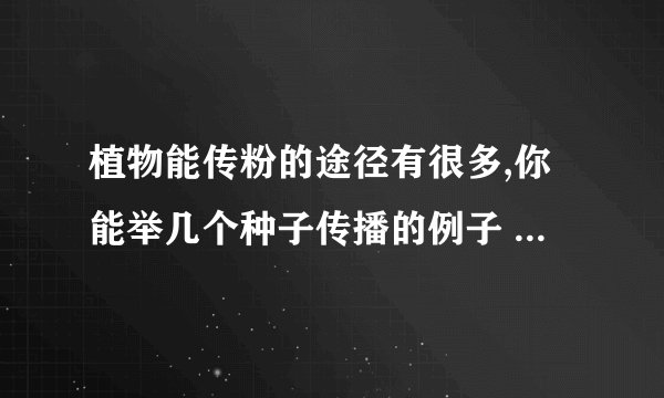 植物能传粉的途径有很多,你能举几个种子传播的例子 吗?(写出植物的名称以及传播的途径)