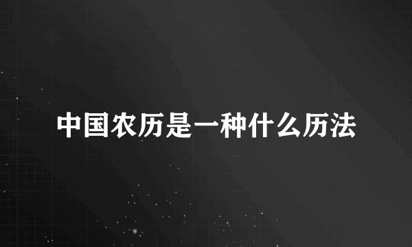 中国农历是一种什么历法