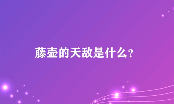 藤壶的天敌是什么?
