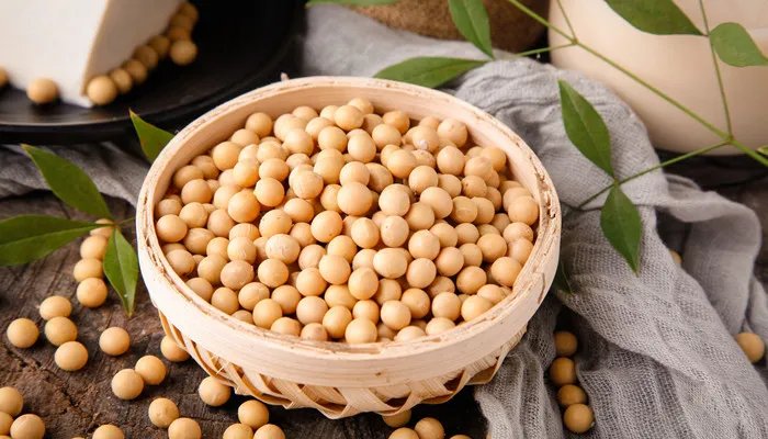 豆浆机品牌排行榜10强 豆浆机品牌的排行榜10强