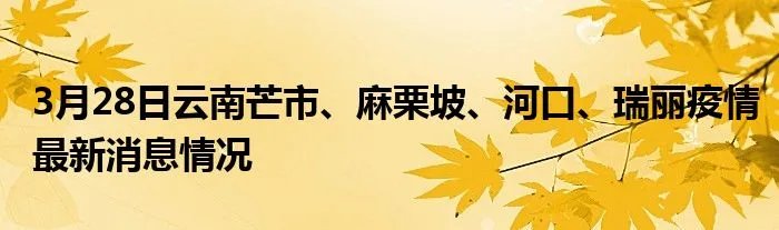3月28日云南芒市、麻栗坡、河口、瑞丽疫情最新消息情况