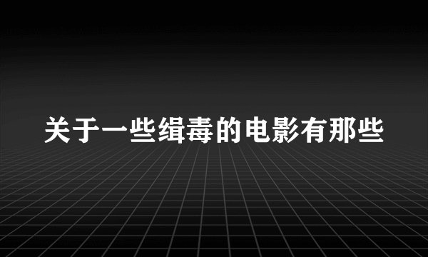 关于一些缉毒的电影有那些