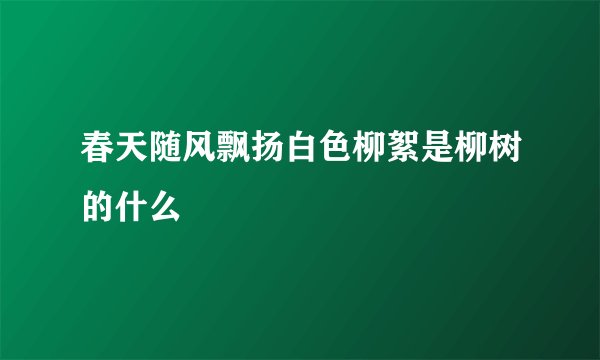 春天随风飘扬白色柳絮是柳树的什么
