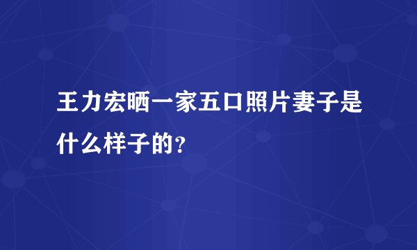 王力宏晒一家五口照片妻子是什么样子的？