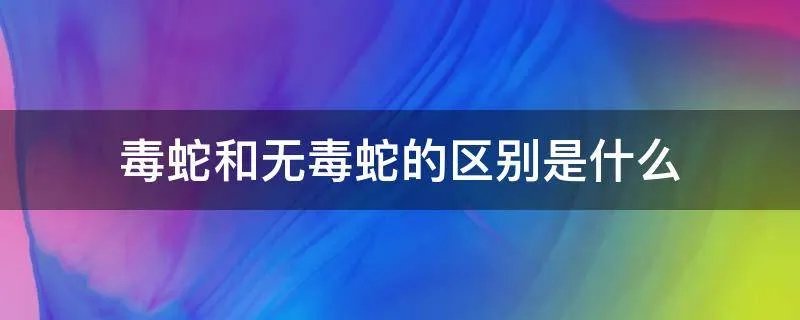 毒蛇和无毒蛇的区别是什么