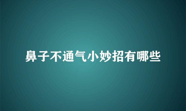 鼻子不通气小妙招有哪些