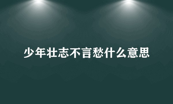 少年壮志不言愁什么意思