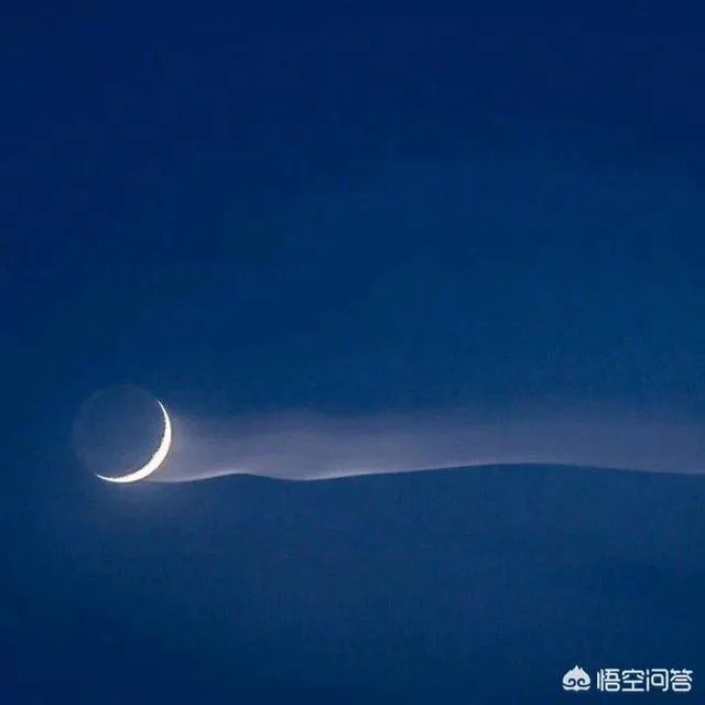 有人说,笨女人最可爱,你想象她有多笨她就会多笨,怎么理解?