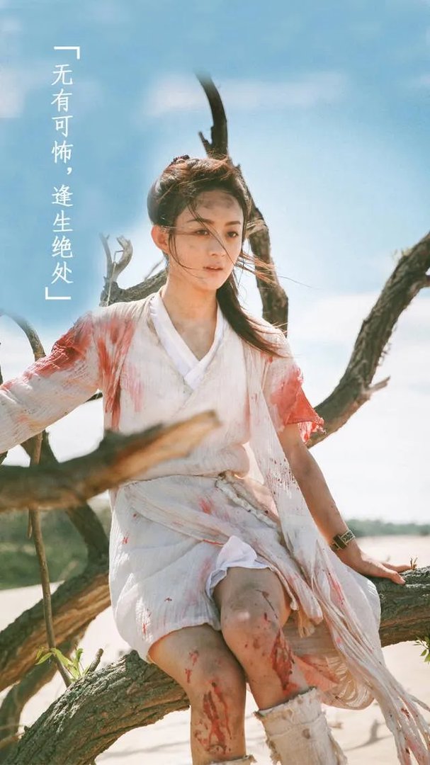 看完几集《楚乔传》，你们感觉如何？与你期望的一致吗？