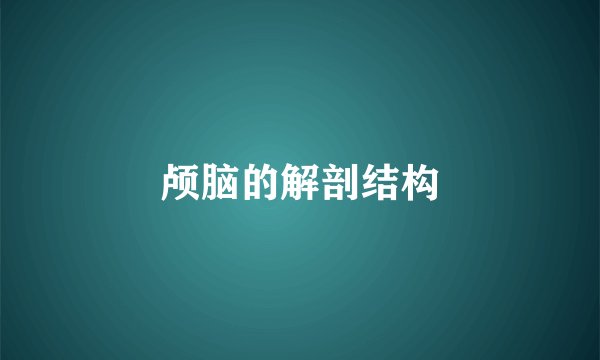 颅脑的解剖结构