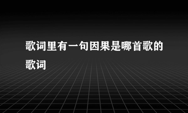歌词里有一句因果是哪首歌的歌词