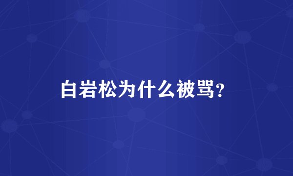 白岩松为什么被骂？