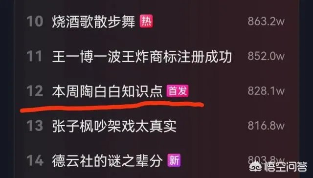 陶白白是什么梗?