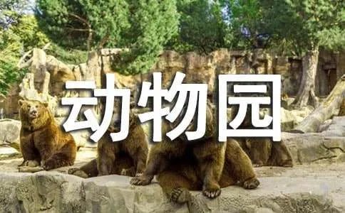 四年级小小动物园优秀作文